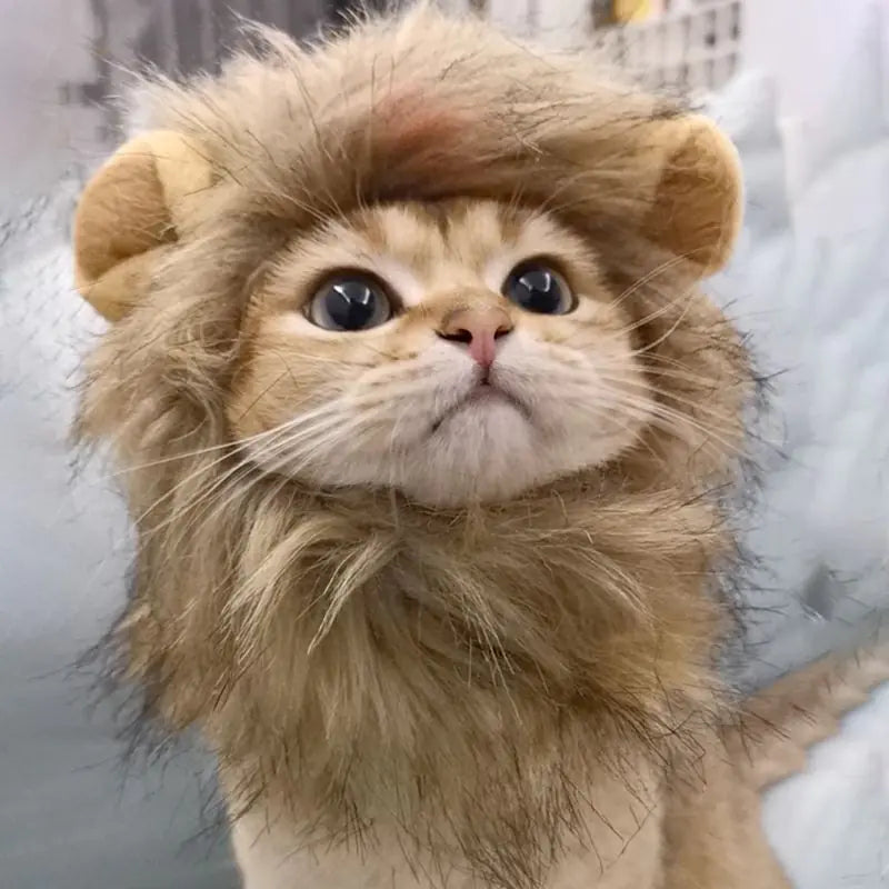 Lion's Maine Costume for Cats