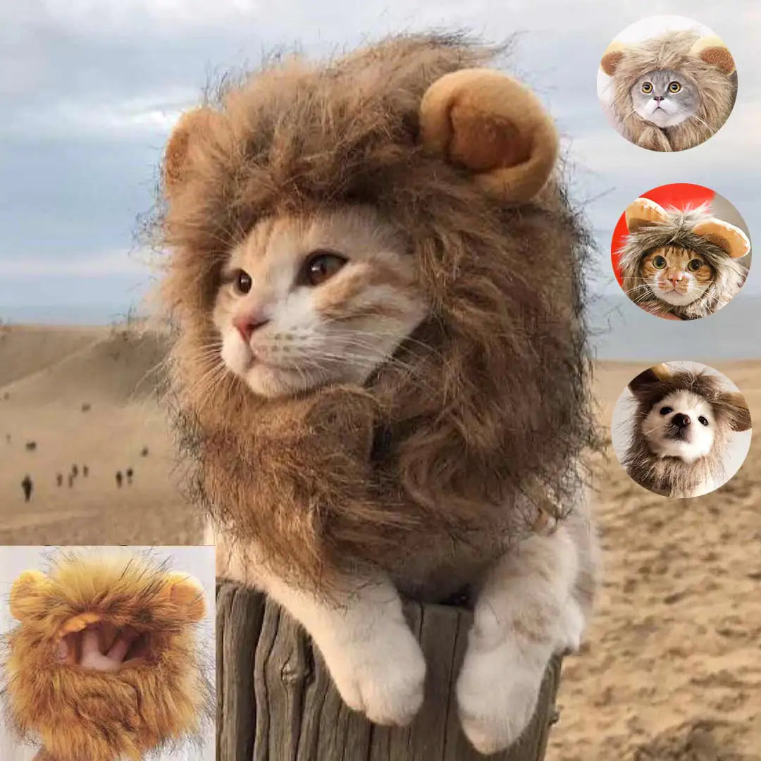 Lion's Maine Costume for Cats