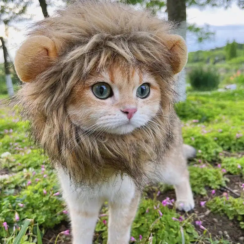 Lion's Maine Costume for Cats