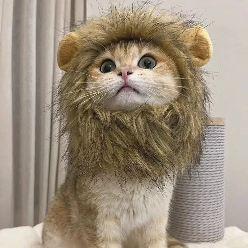 Lion's Maine Costume for Cats