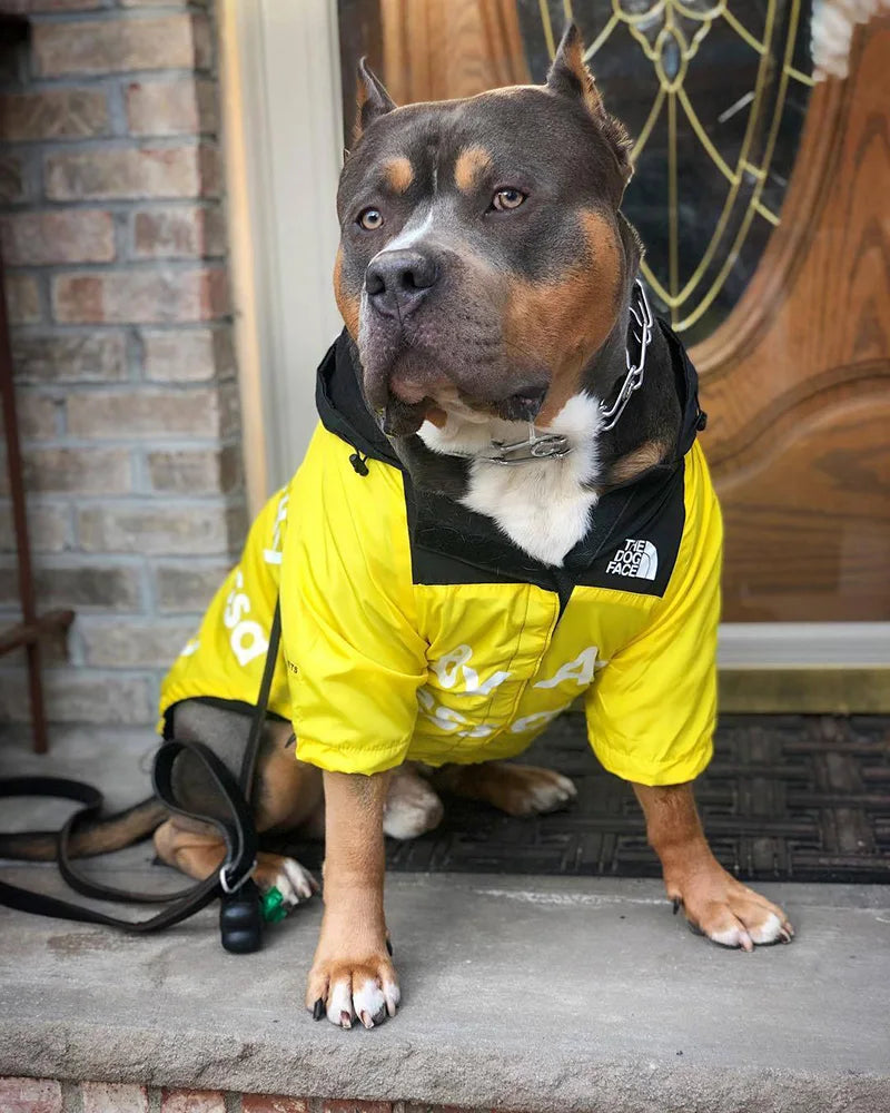 Windbreaker Jacket for Pups