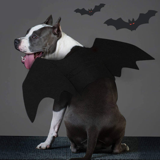 Dog Bat Costume