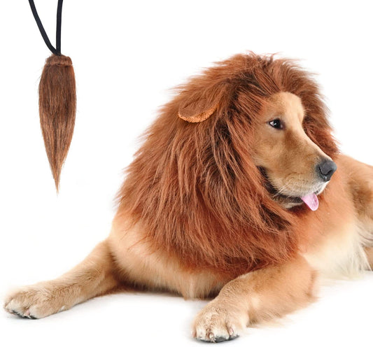 Lion's Mane Dog Costume